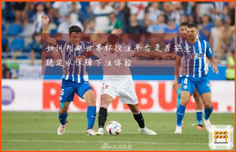如何判断世界杯投注平台是否安全稳定以保障下注体验