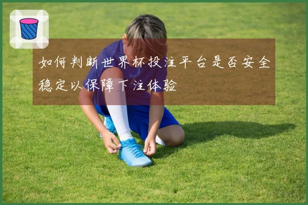 如何判断世界杯投注平台是否安全稳定以保障下注体验